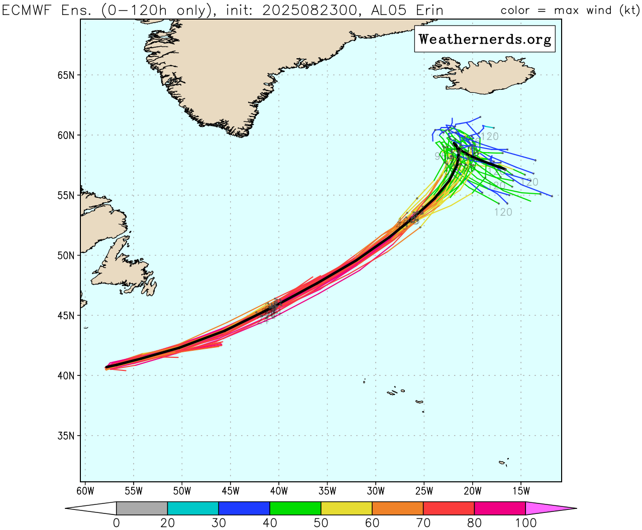 Weathernerds TC Guidance