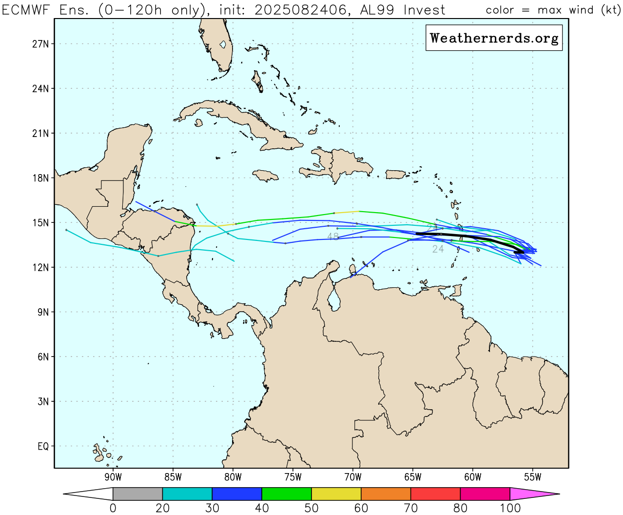 Weathernerds TC Guidance